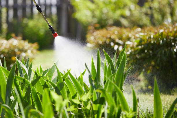 24/7 Emergency Cockroach Control experts in Versailles, KY