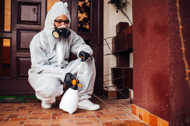 Reliable Cockroach Control contractor in Versailles, KY by Nex Pest Control